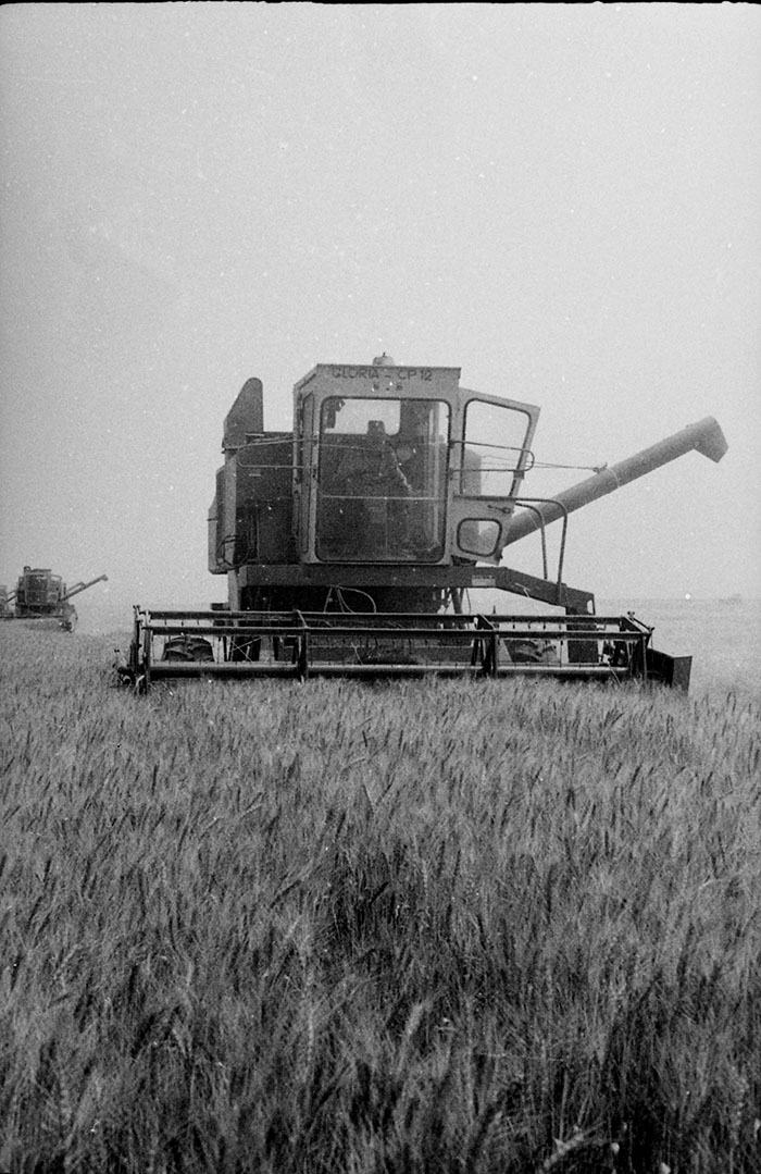 minerva_Agrar_c1_c4r5_004