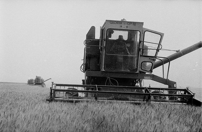 minerva_Agrar_c1_c4r5_005