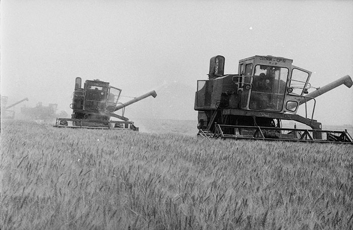 minerva_Agrar_c1_c4r5_006