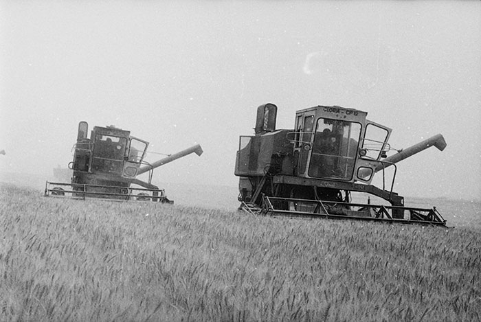 minerva_Agrar_c1_c4r5_007