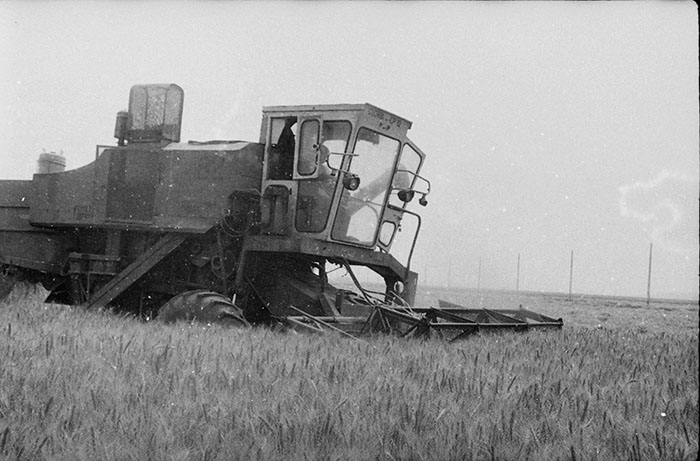 minerva_Agrar_c1_c4r5_008