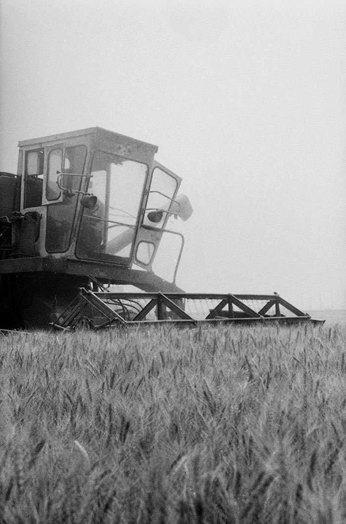 minerva_Agrar_c1_c4r5_009