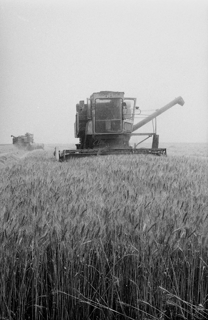 minerva_Agrar_c1_c4r5_010