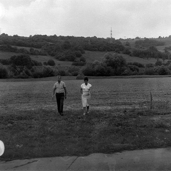 minerva_Agrar_c1_c5r1_002