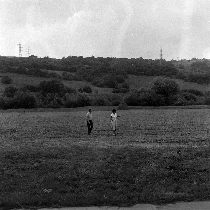 minerva_Agrar_c1_c5r1_003