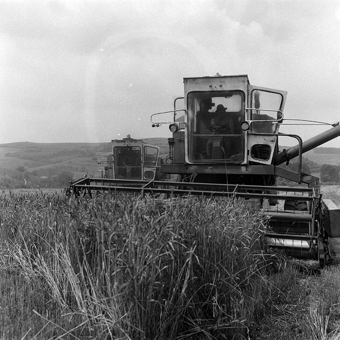 minerva_Agrar_c1_c5r1_004