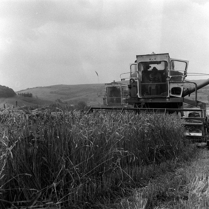 minerva_Agrar_c1_c5r1_005