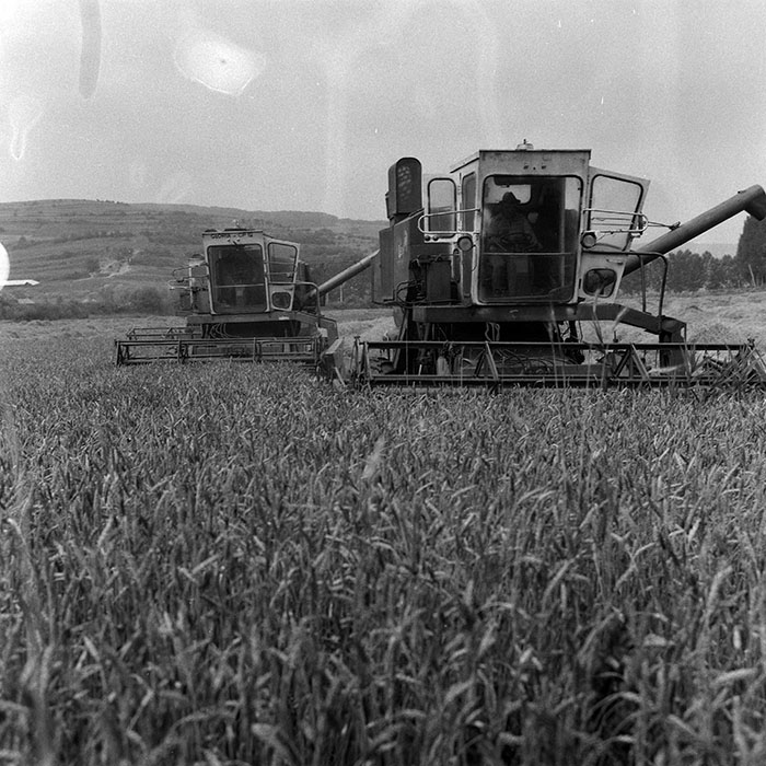 minerva_Agrar_c1_c5r1_006