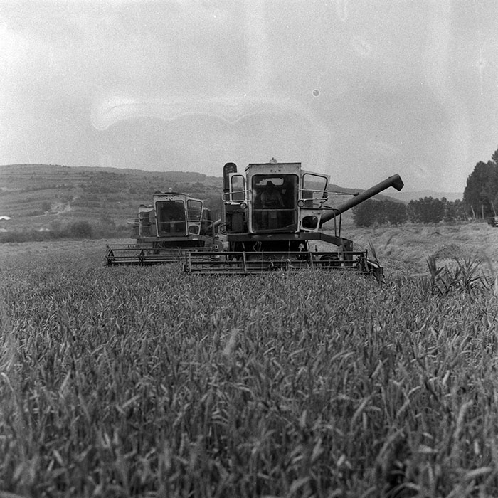 minerva_Agrar_c1_c5r1_007