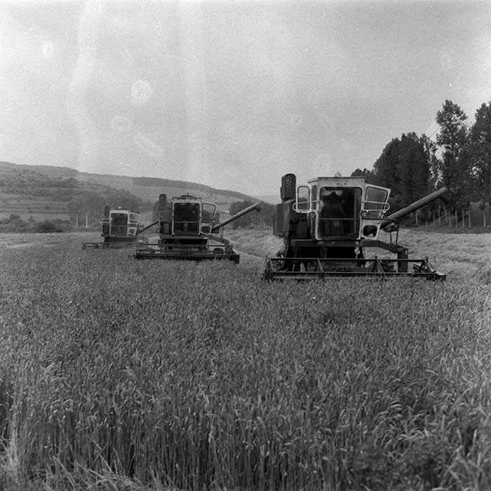 minerva_Agrar_c1_c5r1_008