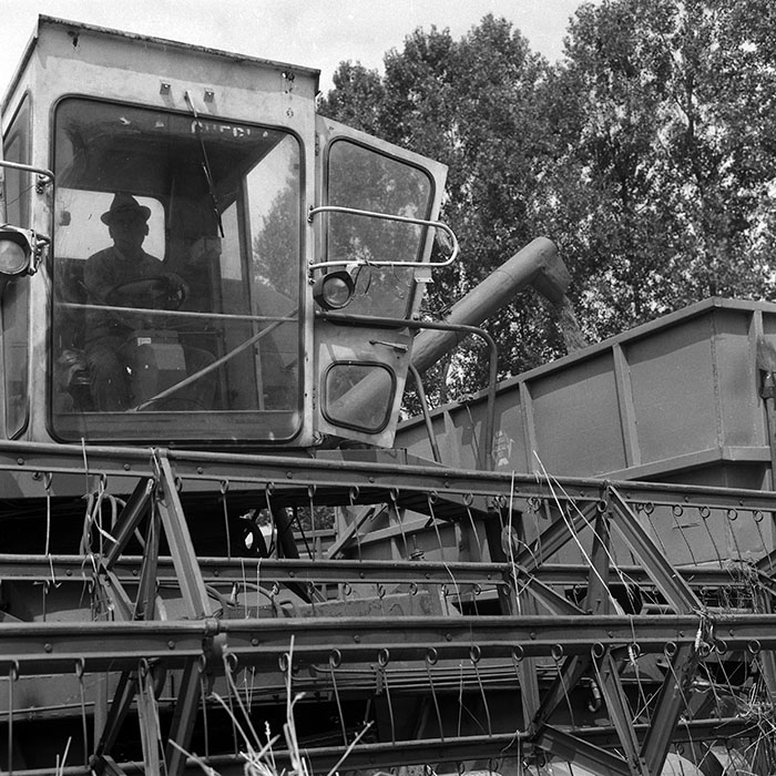 minerva_Agrar_c1_c5r1_010