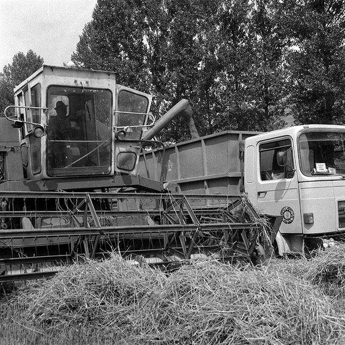 minerva_Agrar_c1_c5r1_011