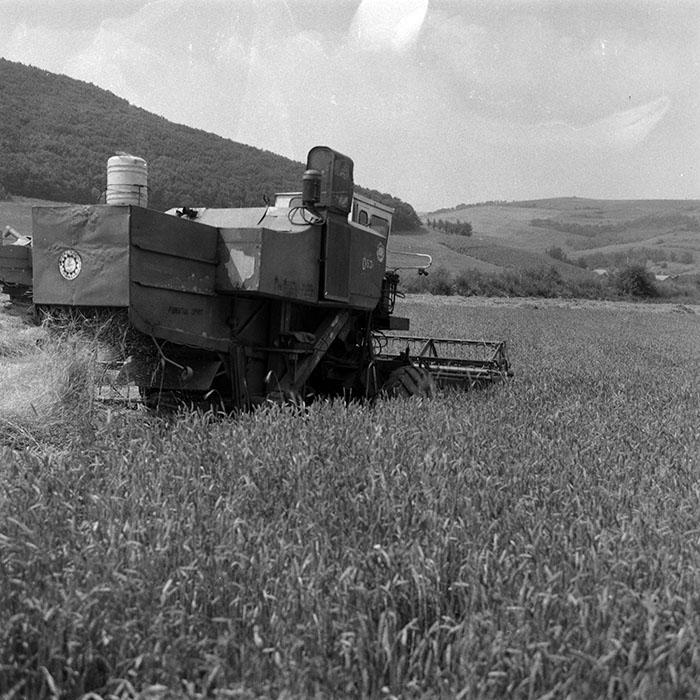 minerva_Agrar_c1_c5r1_012