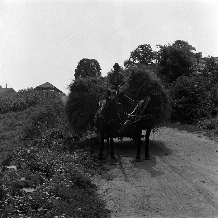 minerva_Agrar_c1_c5r1_018