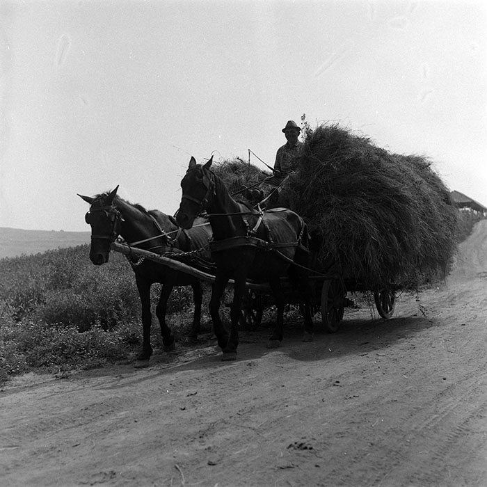 minerva_Agrar_c1_c5r1_019