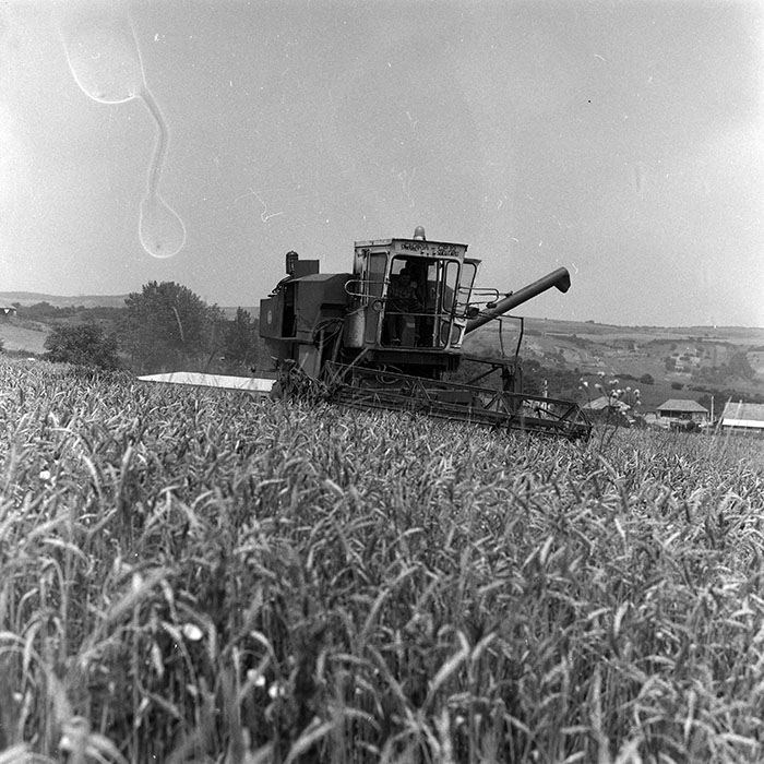 minerva_Agrar_c1_c5r1_020