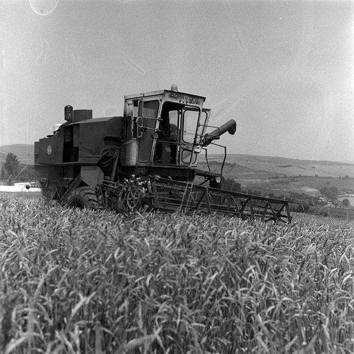 minerva_Agrar_c1_c5r1_021