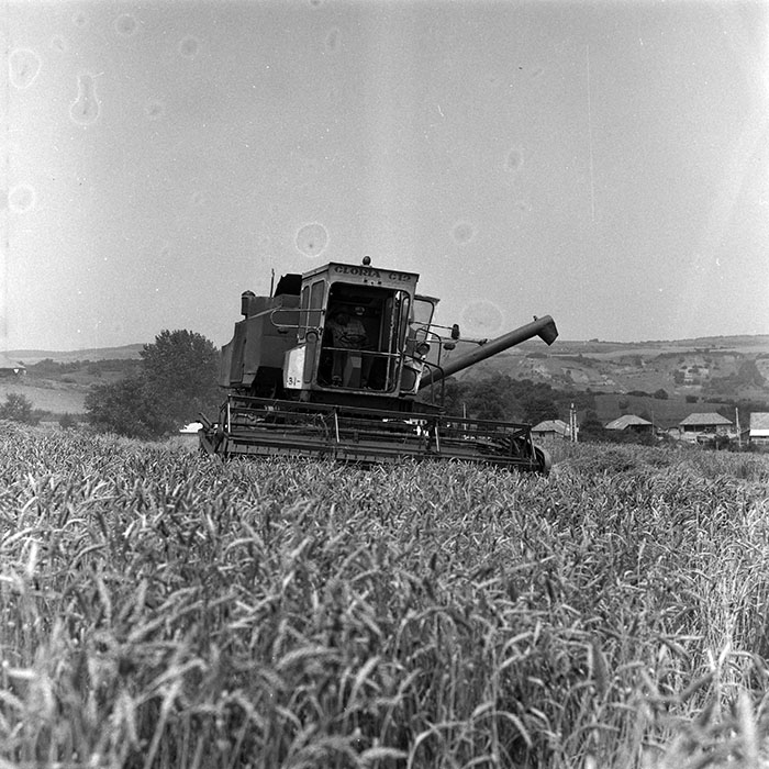 minerva_Agrar_c1_c5r1_022