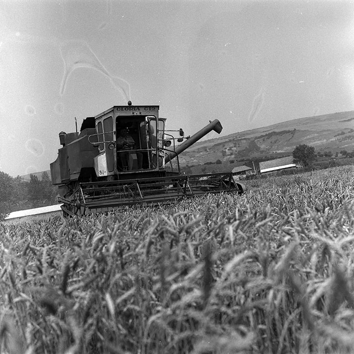 minerva_Agrar_c1_c5r1_023