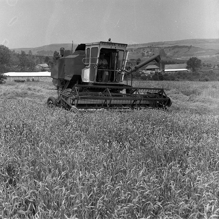 minerva_Agrar_c1_c5r1_024