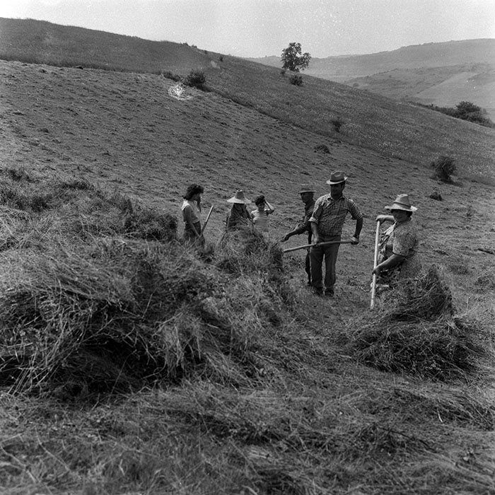 minerva_Agrar_c1_c5r1_025