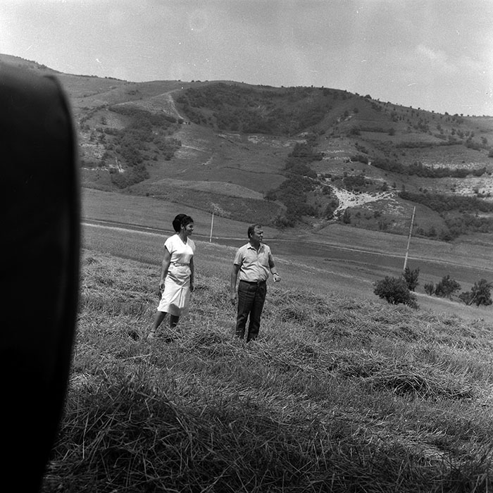 minerva_Agrar_c1_c5r1_026