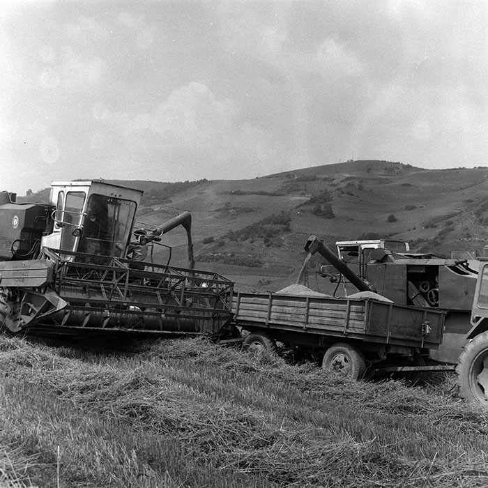 minerva_Agrar_c1_c5r1_027