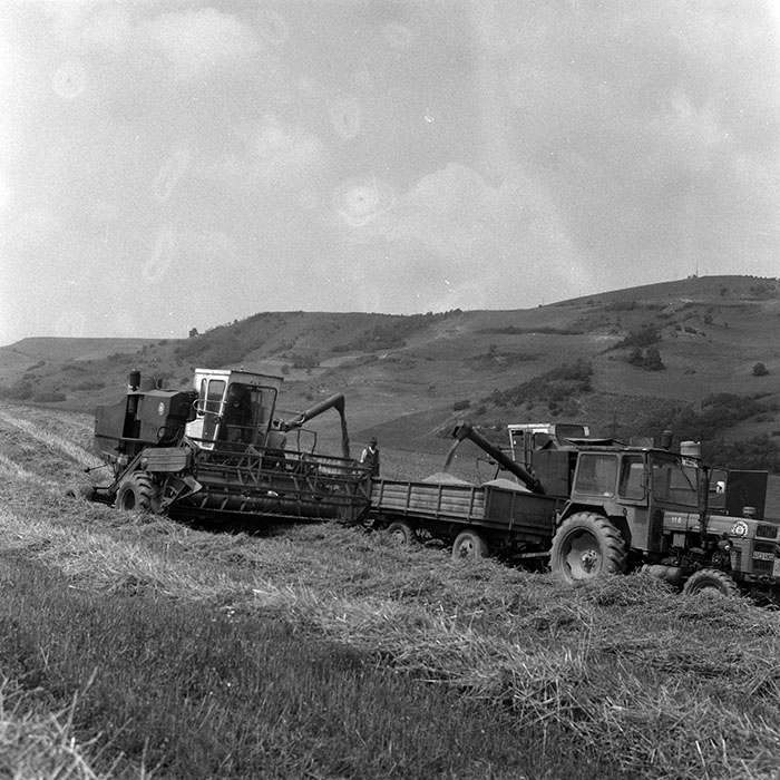 minerva_Agrar_c1_c5r1_028