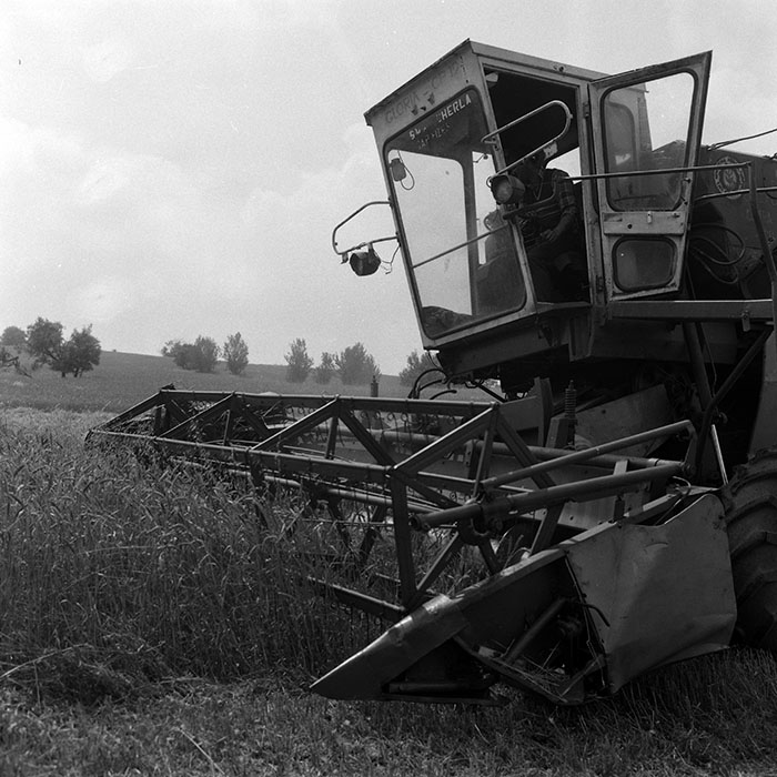 minerva_Agrar_c1_c5r1_029