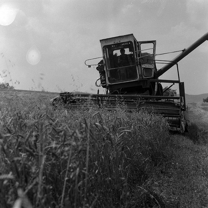 minerva_Agrar_c1_c5r1_030