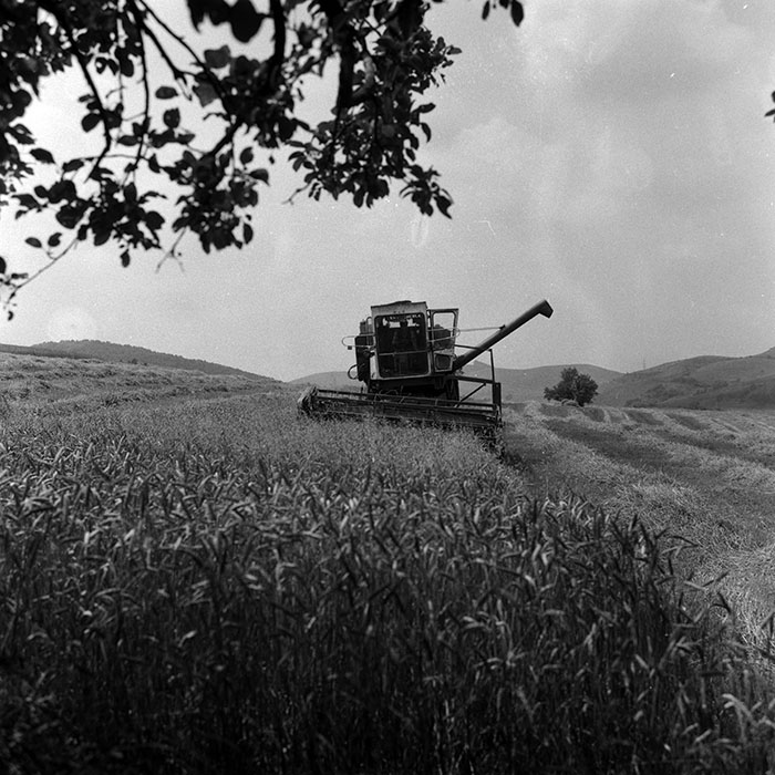 minerva_Agrar_c1_c5r1_031