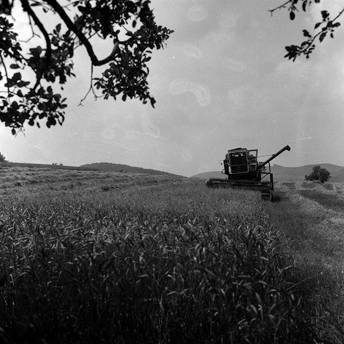 minerva_Agrar_c1_c5r1_032