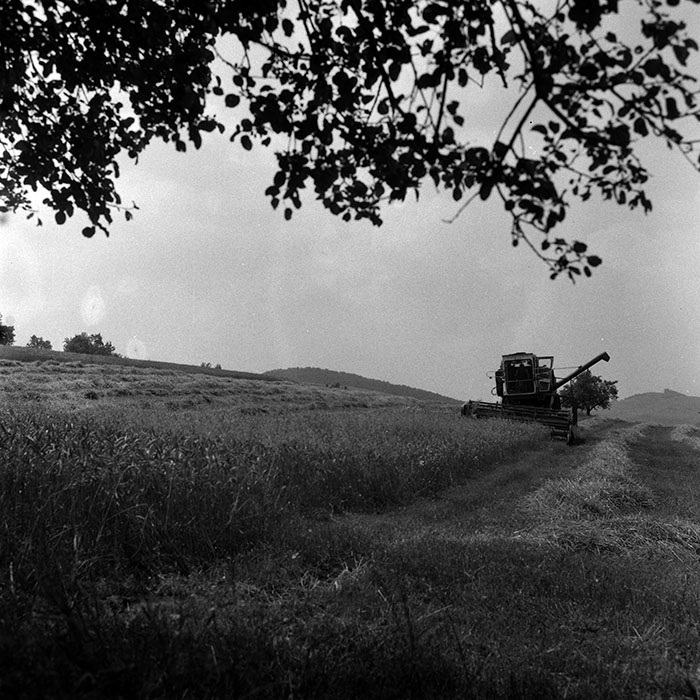 minerva_Agrar_c1_c5r1_033