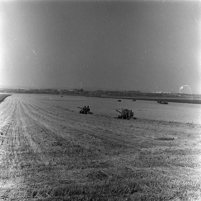 minerva_Agrar_c1_c5r1_037