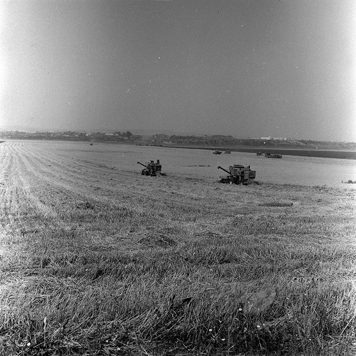 minerva_Agrar_c1_c5r1_038