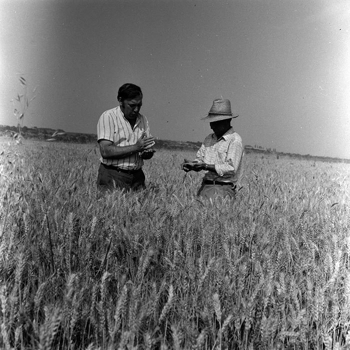 minerva_Agrar_c1_c5r1_040