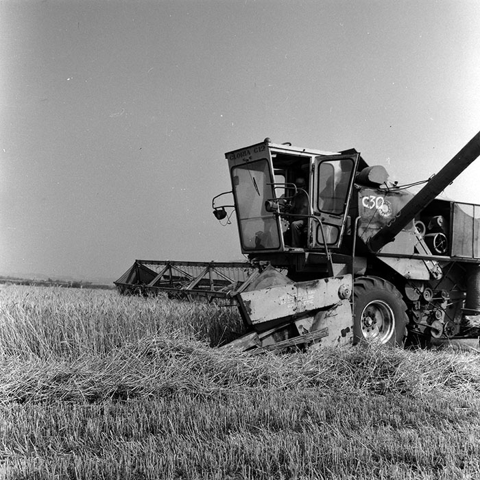 minerva_Agrar_c1_c5r1_041