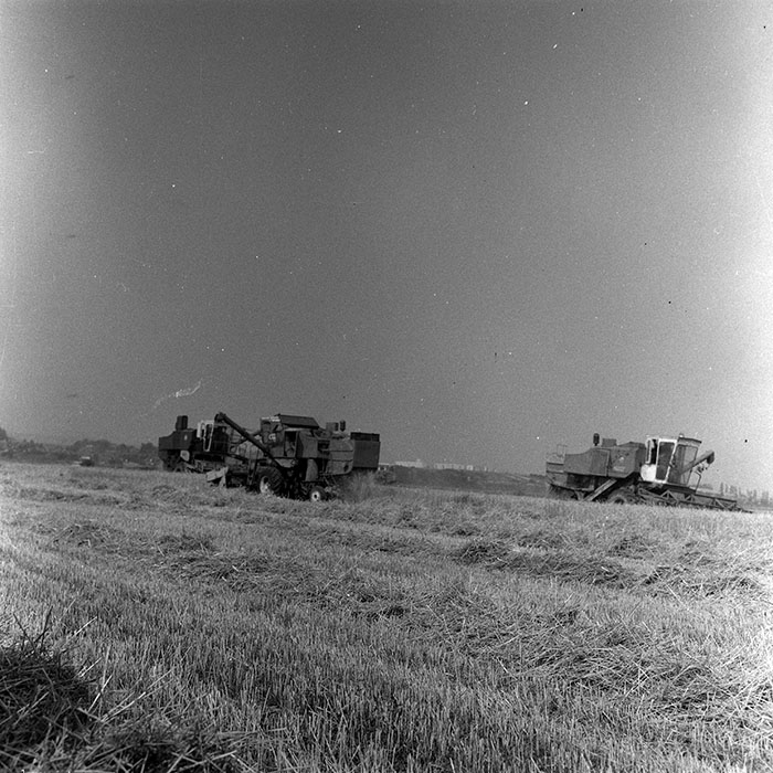 minerva_Agrar_c1_c5r1_042