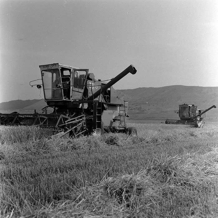 minerva_Agrar_c1_c5r1_043