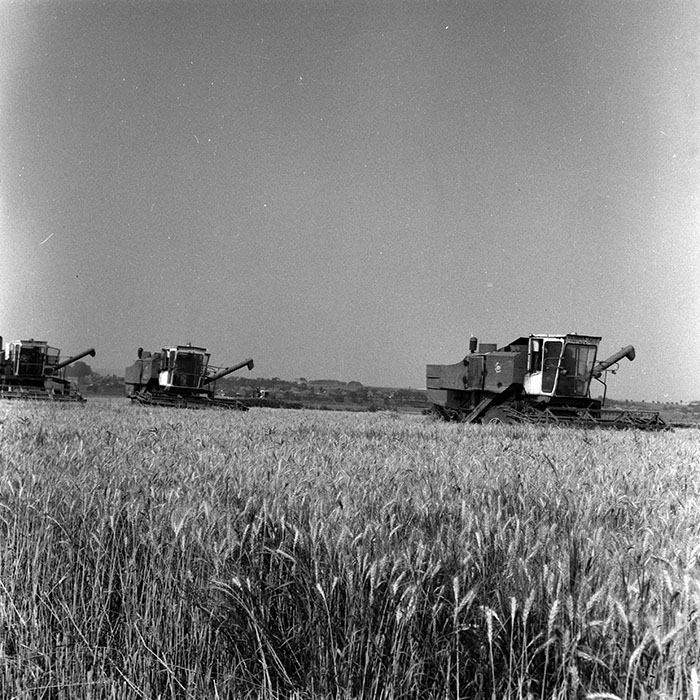 minerva_Agrar_c1_c5r1_045