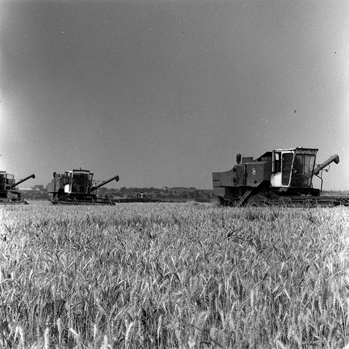 minerva_Agrar_c1_c5r1_046