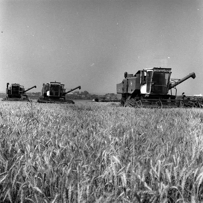 minerva_Agrar_c1_c5r1_047