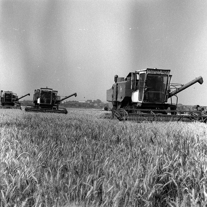 minerva_Agrar_c1_c5r1_048