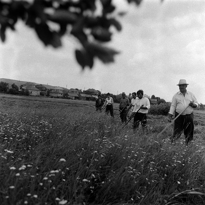 minerva_Agrar_c1_c5r2_001