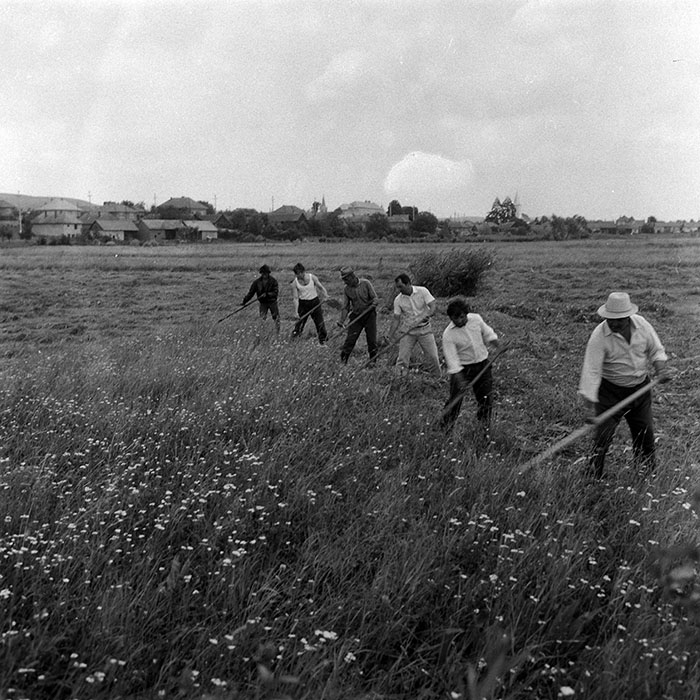 minerva_Agrar_c1_c5r2_002