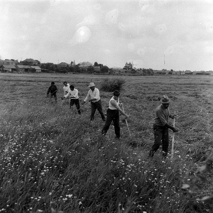 minerva_Agrar_c1_c5r2_003