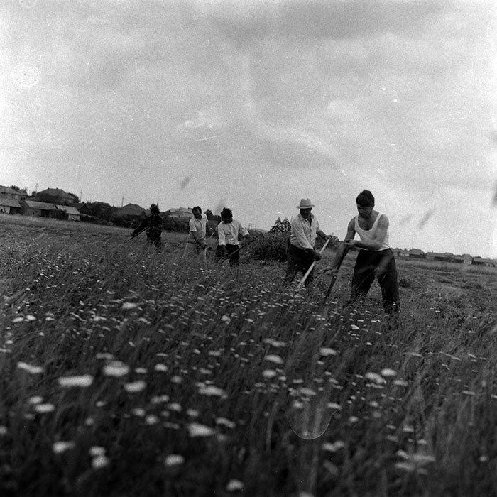 minerva_Agrar_c1_c5r2_004