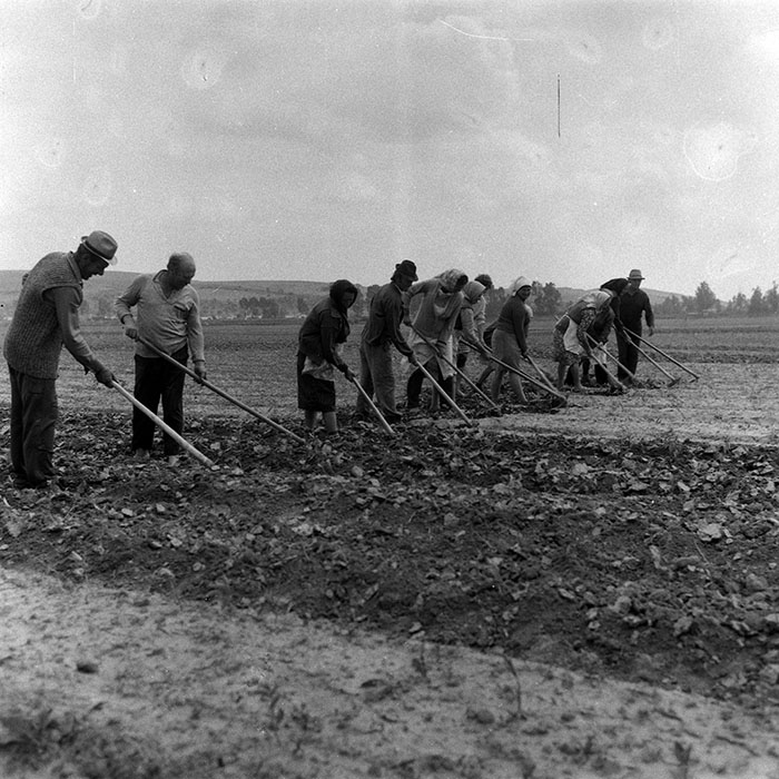 minerva_Agrar_c1_c5r2_005