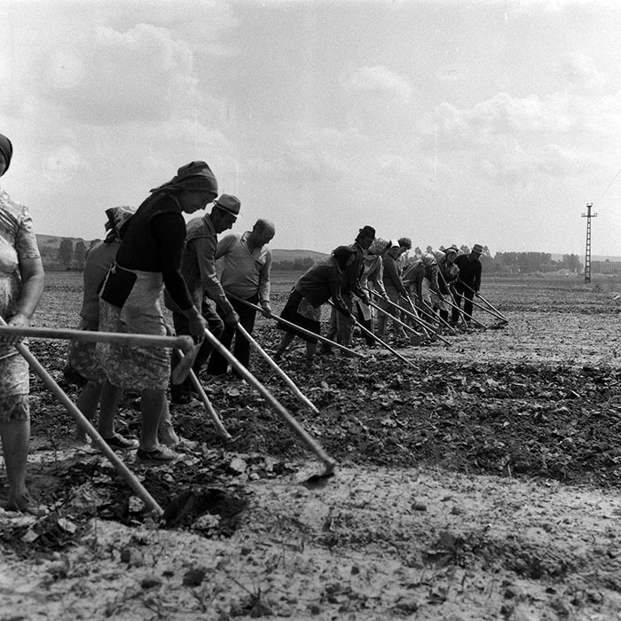 minerva_Agrar_c1_c5r2_006