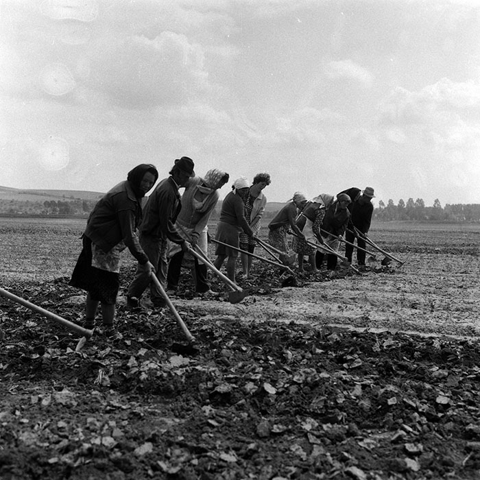 minerva_Agrar_c1_c5r2_007